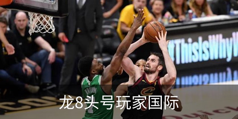 龙8头号玩家国际概况